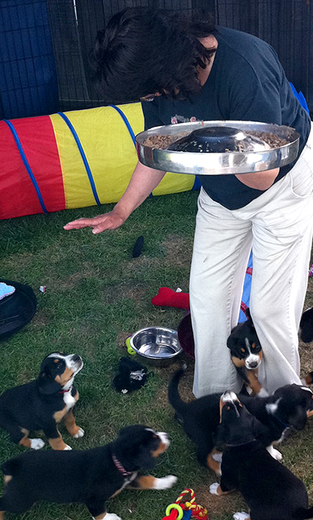 Josette with puppies