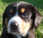 Chance picture